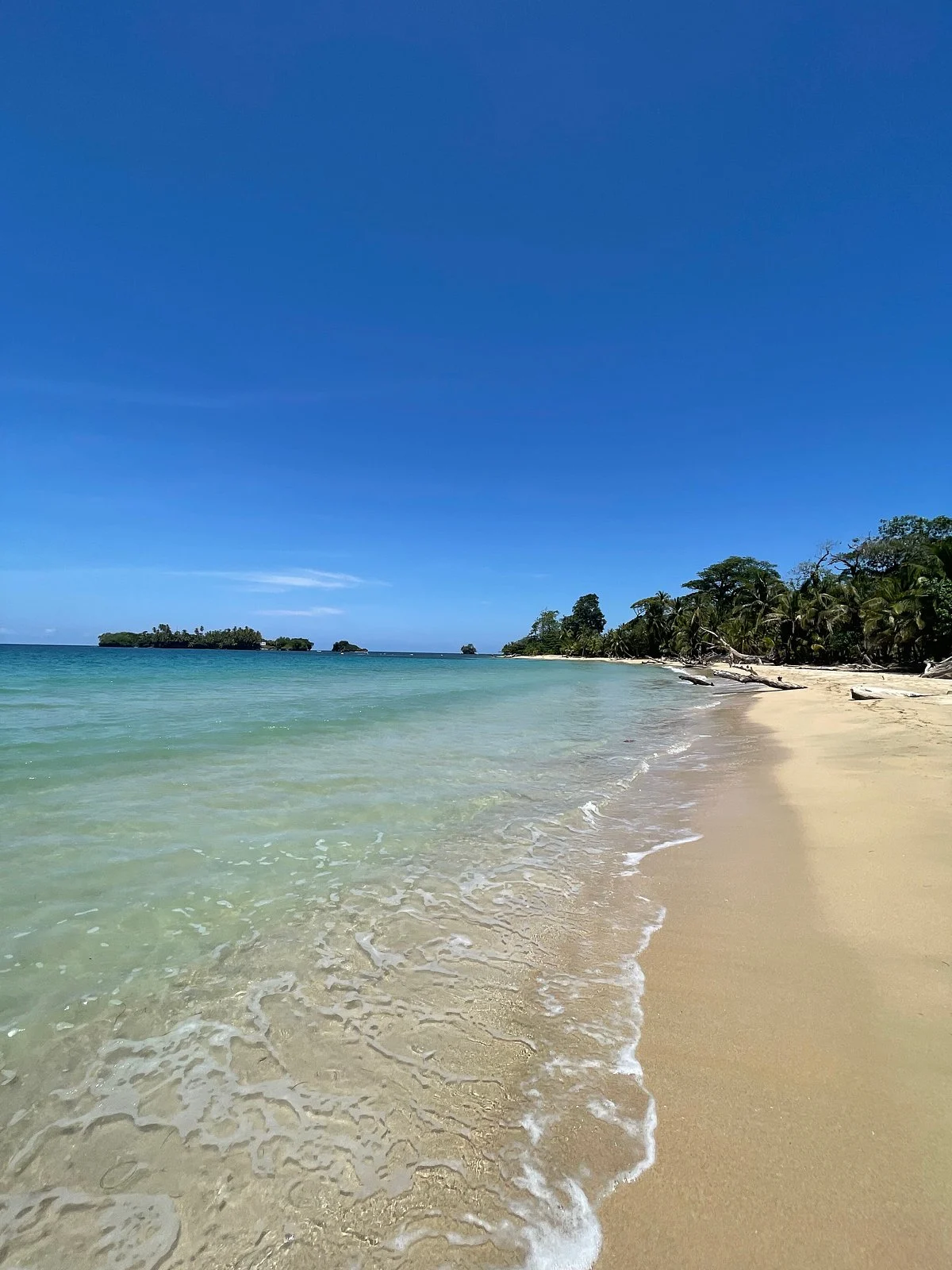 Playa Polo Panama